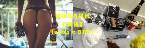 гашик Нефтекумск