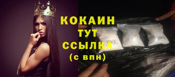 гашик Нефтекумск