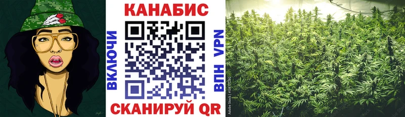 Бошки Шишки сатива  Салехард 